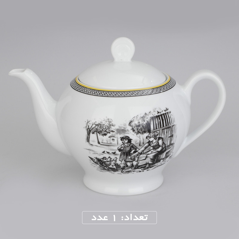 سرویس چینی 102 پارچه غذا خوری چینی زرین ایران سری ایتالیا اف مدل ویلیج درجه یک