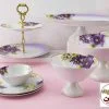 سرویس پذیرای بنفشه