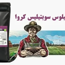 کود زیستی باسیلوس سوبتیلیس کروا